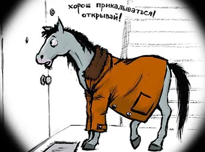 Конь в пальто :: Наиля – Социальная сеть ФотоКто