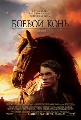 Шоу-программа \"Королевские кони на ранчо\" в Хабаровске 29 октября 2023 в  Зевс