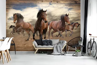 Кони флизелиновые фотообои животные 416x290 см Скачущие лошади на  деревянных досках (10083VEXXXXL) +клей (ID#1925355798), цена: 2760 ₴,  купить на Prom.ua