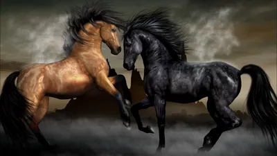 Картинки природа, лошади, сила, красота, грация, конь - обои 1920x1080,  картинка №27020