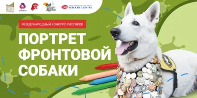 Международный конкурс рисунков «День фронтовой собаки» - Конкурс рисунка  для детей 2024 - Бесплатные конкурсы для детей 2024. ТУНТУК