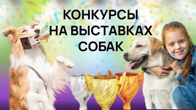 На Параде собак в Твери пройдёт конкурс \"Дефиле в костюмах\" | 02.08.2022 |  Тверь - БезФормата
