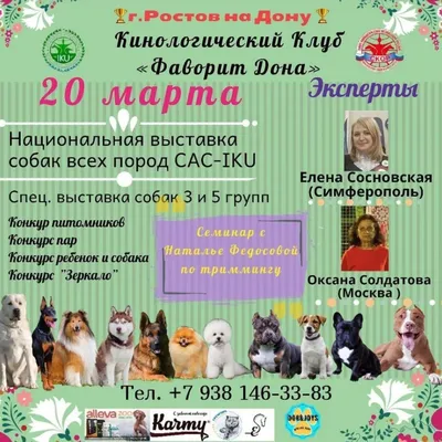В Ярославле прошел областной конкурс для собак-поводырей «Мы с хозяином  вдвоем» | Первый ярославский телеканал