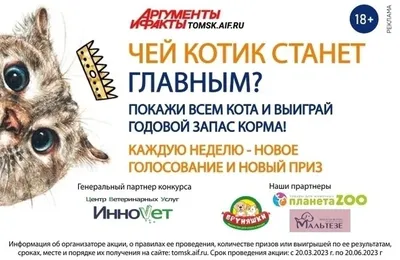 Открытые-НКО - \"Нарисуй кота\": приют для животных \"Преданное сердце\"  запускает всероссийский конкурс детских рисунков