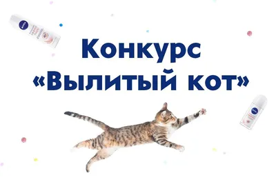 Подведены итоги конкурса детского рисунка «Нарисуй КРОХУ-Кота»!