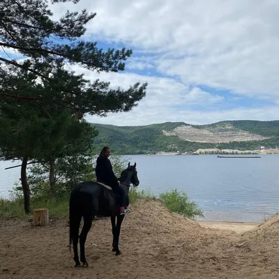 Катание на лошадях в горах Кавказа: цена на конные прогулки в горах |  Курорт Амхи