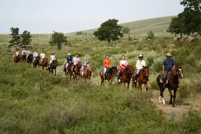 Сенавиан: конные прогулки, верховая езда, катание на лошадях и отдых в  деревне