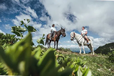 Конные прогулки в Сочи (Адлер) — цены на прогулки на лошадях в 2023.  Интересные маршруты, опытные инструктора.