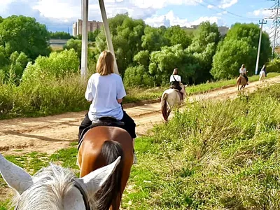 Конный туризм в Сочи - Активный отдых в горах | конные походы на Фишт