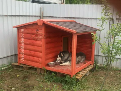 Будка для собаки \"Оскар\". Конура в виде домика фото и цены