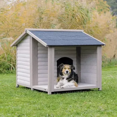 Уличная будка для собаки: как выбрать домик мечты для вашего друга | BLIZKO  стройка и ремонт | Дзен