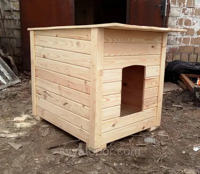 Комнатные будки для собаки