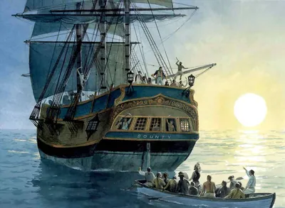 История корабля «Баунти» | Парусники, яхты
