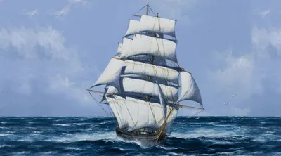 Рисунок Грузового Судна — стоковая векторная графика и другие изображения  на тему Корабль - Корабль, Чёрно-белый, Белый фон - iStock