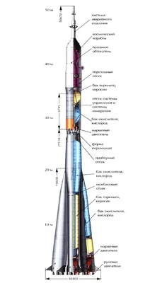 космический корабль ракета запуск веб-галактика Иллюстрация штока -  иллюстрации насчитывающей концепция, футуристическо: 220205219