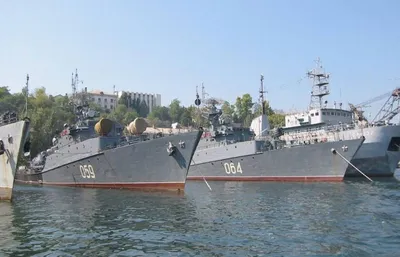 Корабли Черноморского флота провели на учениях морской бой с противником —  РБК