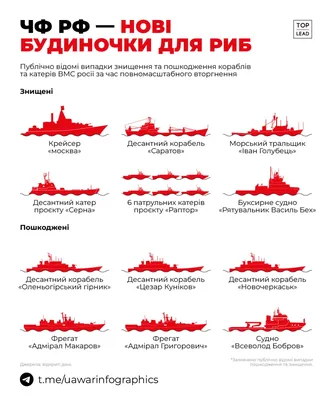 Япония обнаружила крупную группировку флота РФ у своих берегов - ZN.ua