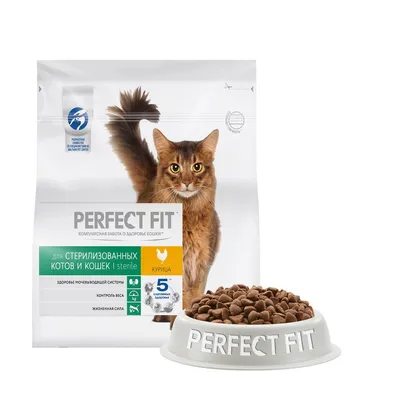 Сухой корм для кошек Kitekat Телятинка Аппетитная, 1,9 кг - купить с  доставкой по выгодным ценам в интернет-магазине OZON (34502540)