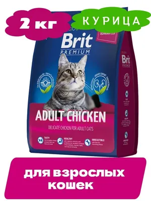 Сухой корм для котят ROYAL CANIN Kitten, домашняя птица, 0,4кг - отзывы  покупателей на маркетплейсе Мегамаркет | Артикул товара:100000585157