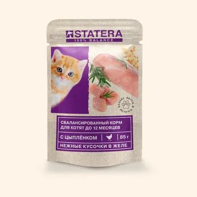 Полнорационный сухой корм WINNER MEAT с сочной говядиной для взрослых кошек  старше 1 года 0,3 кг, цена – купить в супермаркете «Мираторг».