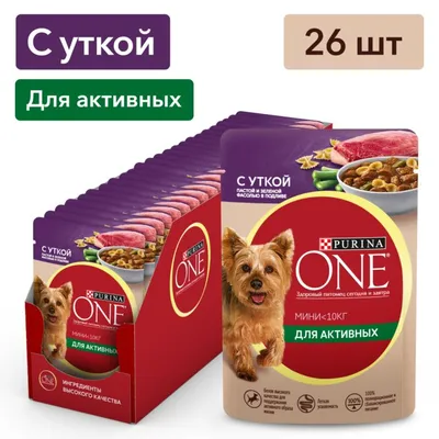 Корма для собак ᐈ Купить собачий корм по выгодной цене от Novus