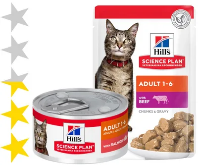 HILL'S лечебный корм для кошек Gastrointestinal Biome (курица)