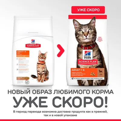 Корм для стерилизованных кошек с курицей до 6 лет Hill`s купить с доставкой  на дом по цене 385 рублей в интернет-магазине