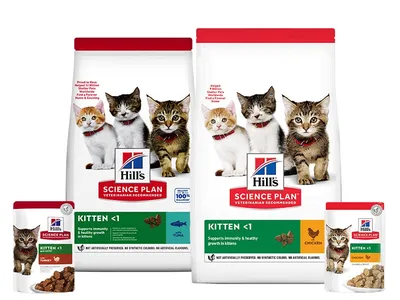 Сухой корм для кошек Hills Science Plan для здоровья кожи и шерсти, 1,5 кг  купить в Тюмени недорого, цена в интернет-магазине - Живая планета