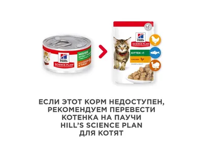 Рационы Hill's для котят: подходящее питание с первого года жизни