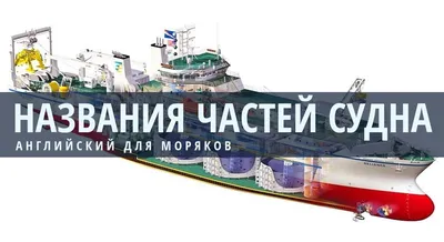 Умбрия, история лучшего места кораблекрушения | Дикий Журнал | Дзен
