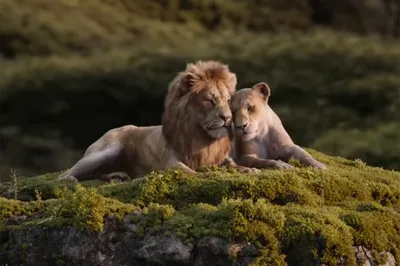 Король Лев (2019) (Blu-Ray) - купить мультфильм /The Lion King/ на Blu-Ray  с доставкой. GoldDisk - Интернет-магазин Лицензионных Blu-Ray.
