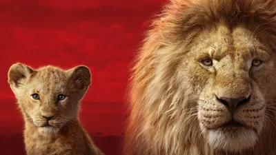 Львы | Король Лев вики | Fandom