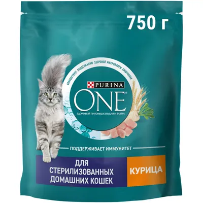 Ветеринары не советуют кормить кота с рук - объяснение почему | РБК Украина