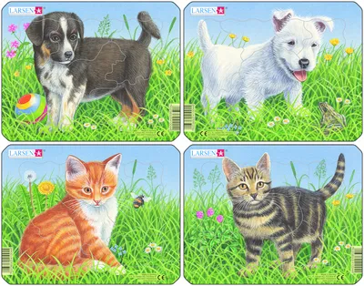 немецкие овчарки и кошки являются близкими компаньонами и многие люди  считают их лучшими друзьями, картинка кота и собаки вместе, кошка, собака  фон картинки и Фото для бесплатной загрузки