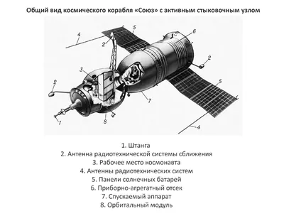 18 марта 1965 года человек впервые вышел за пределы корабля в открытый  космос (видео) - bykhov.by
