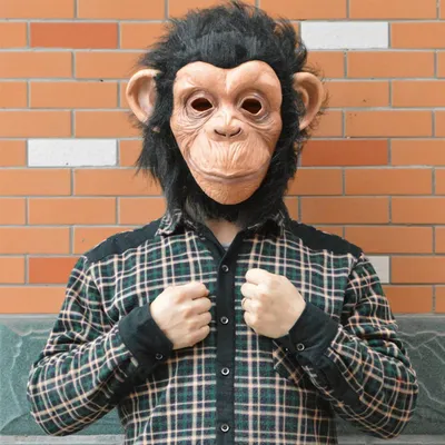 George маскарадный костюм обезьяны красная обезьяна, Индивидуальный размер,  мультяшный персонаж, костюмы для косплея mascotte carnival 41223 |  AliExpress