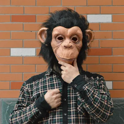 Костюм детские обезьяна Widmann Monkey, коричневый, полиэстер, 146 см -  Ksenukai.lv