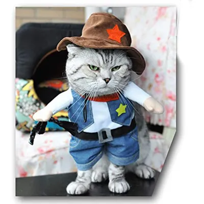 Купить Костюмы для косплея, забавный костюм кошки, костюм ковбойского кота,  кепка, аксессуары для щенков, кошек, костюм для одежды для собак, одежда  для малышей. | Joom
