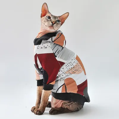 Демисезонная одежда для кошек и котов - трикотажная кофта с капюшоном, худи  с рисунком Эстетика Геометрии, подходит для сфинксов - купить с доставкой  по выгодным ценам в интернет-магазине OZON (676553210)