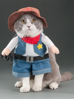 Самые забавные костюмы котов и собак на Хэллоуин (видео)
