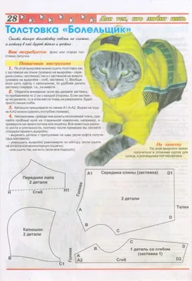 ᐉ Одежда для котов в Киеве купить в Эпицентр К • Цена в Украине