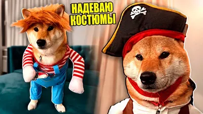 Купить утеплённую куртку для собак Collar WAUDOG Clothes с рисуноком  \"Бэтмен винтаж\"