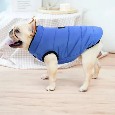 Зимняя одежда для собак Airy Vest ( Эйри Вест )