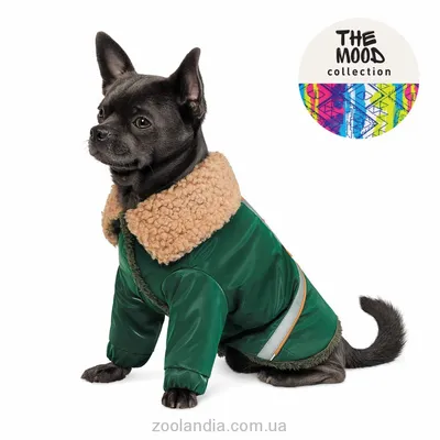 Одежда для собак комбинезон дождевик DOBYPET 95170513 купить за 775 ₽ в  интернет-магазине Wildberries