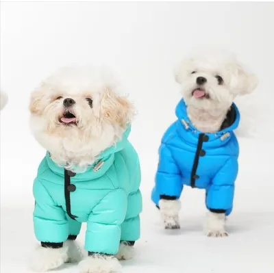 Куртка для собак PRADA мужские купить в интернет-магазине ЦУМ, арт.  2YX004-2DMI-F0002
