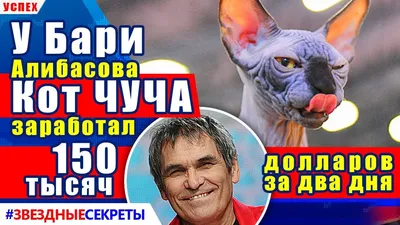 Бари Алибасов заработал миллион рублей, не выходя из больницы - 7Дней.ру