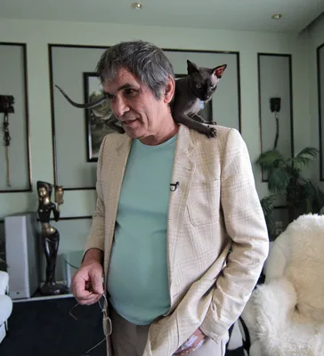 Очнувшийся на несколько минут в реанимации Бари Алибасов первым делом  спросил про своего кота