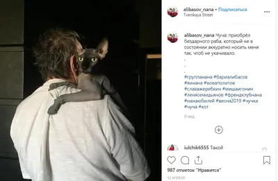 Лишились 800 тысяч из-за кота»: сын Бари Алибасова стал жертвой мошенника -  KP.RU