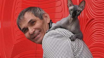 «Денег не надо»: нашедшие кота Бари Алибасова отказались от вознаграждения  в 800 тысяч - KP.RU