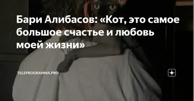 Пропала кошка в Удомле на ул. Попова, 17 | Pet911.ru